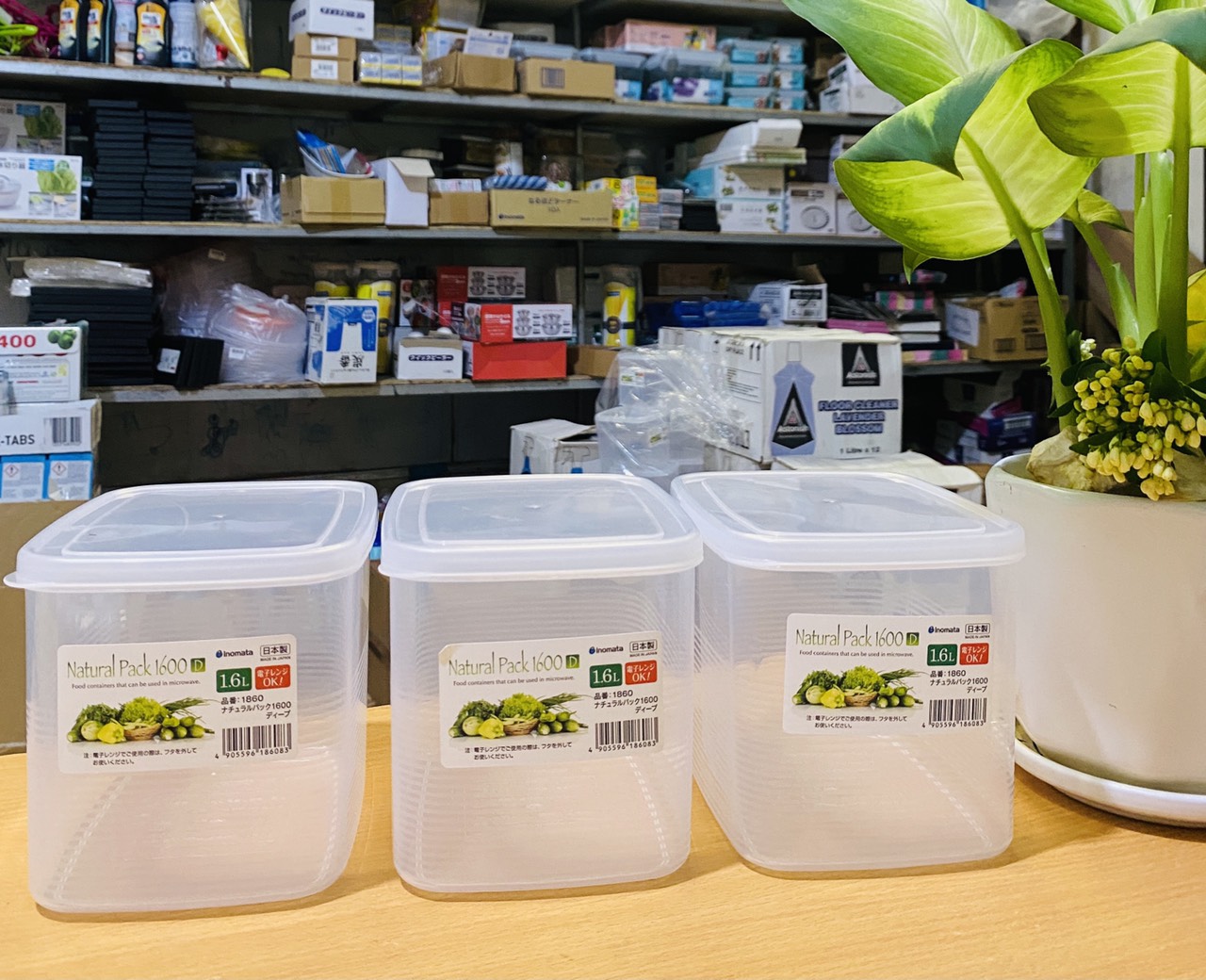 Hộp nhựa dẻo 1600ml Inomata Nhật Bản