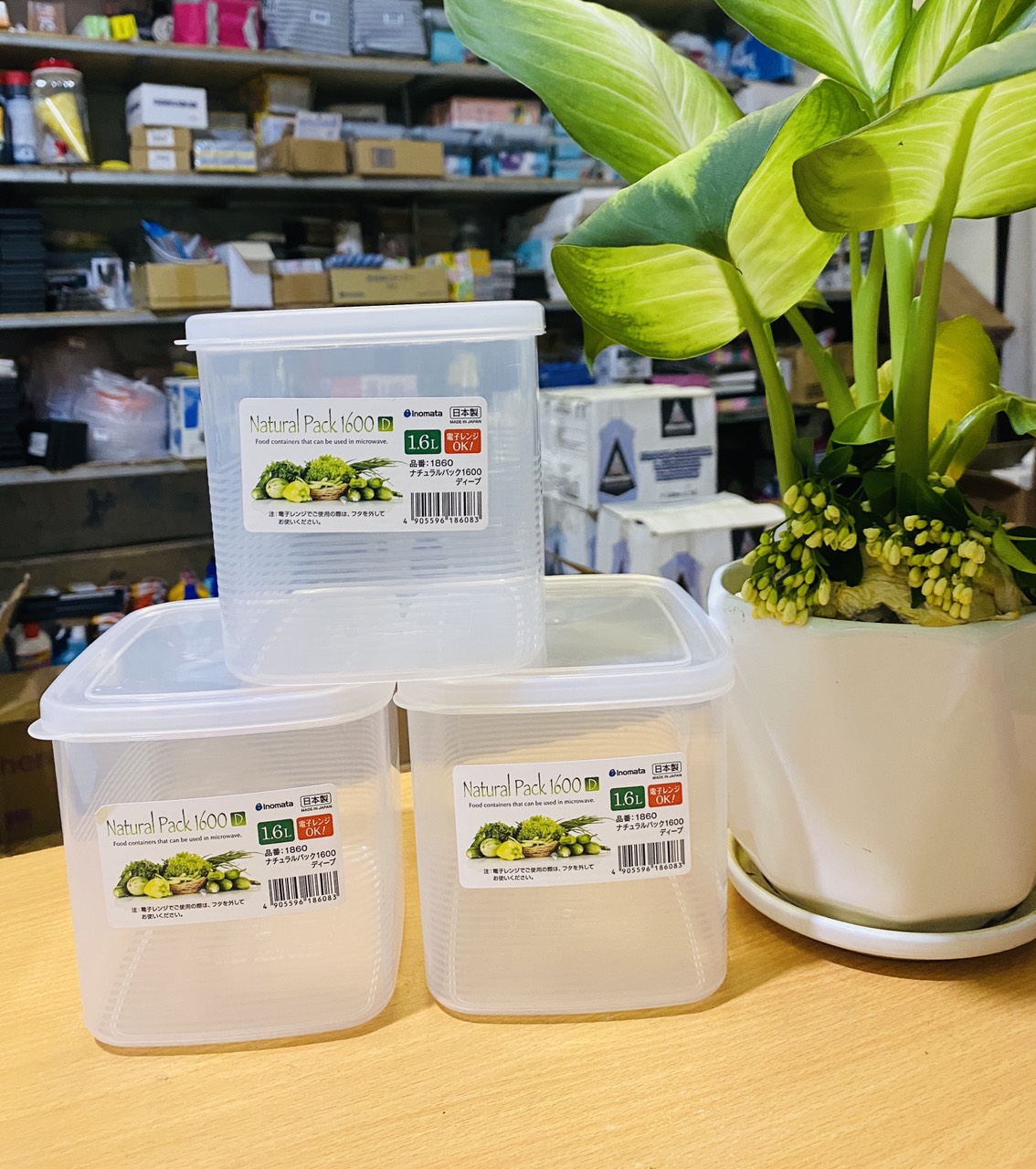 Hộp nhựa dẻo 1600ml Inomata Nhật Bản