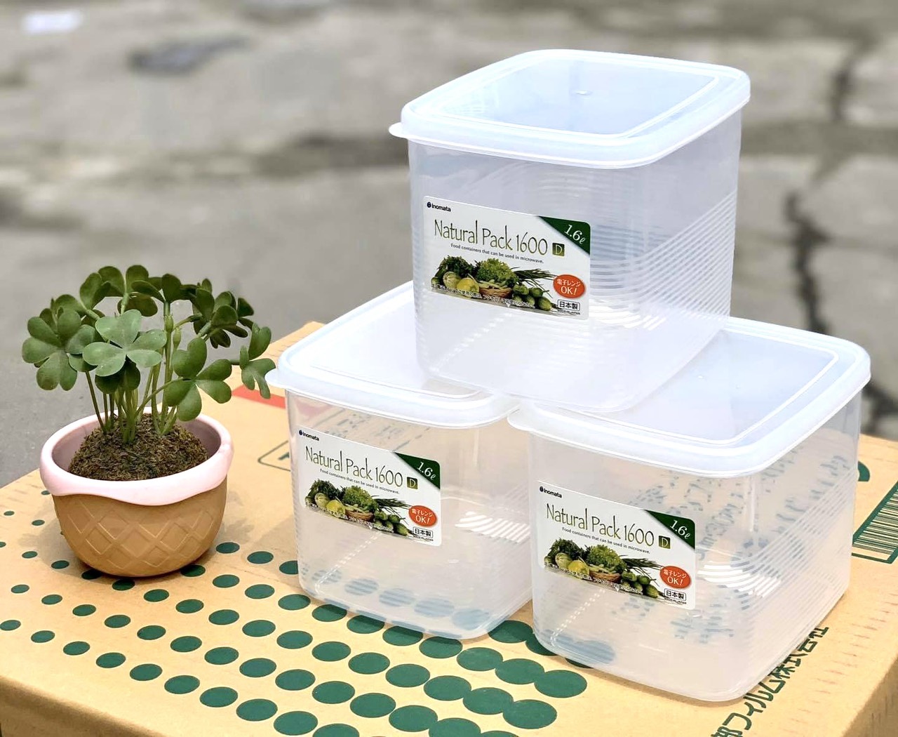 Hộp nhựa dẻo 1600ml Inomata Nhật Bản