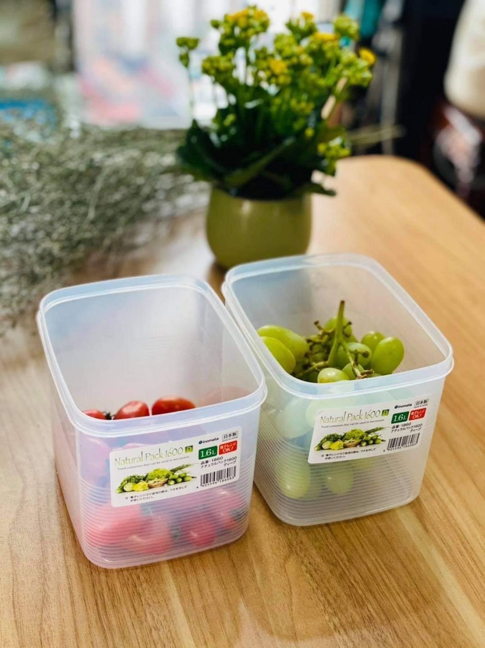 Hộp nhựa dẻo 1600ml Inomata Nhật Bản