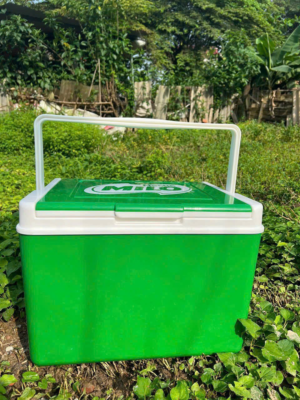 Thùng đá milo 12L