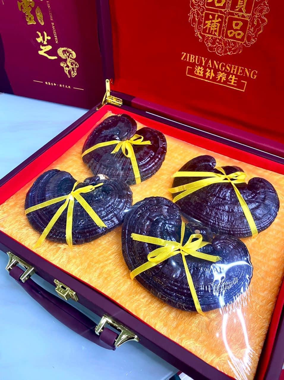 Nấm Linh Chi Núi Trường Bạch tỉnh Cát Lâm - Trung Quốc hộp 4 nấm