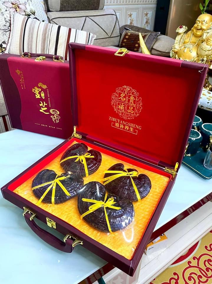 Nấm Linh Chi Núi Trường Bạch tỉnh Cát Lâm - Trung Quốc hộp 4 nấm