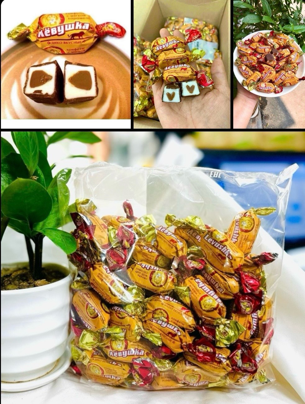 Kẹo socola Liovushka sư tử Nga 1kg