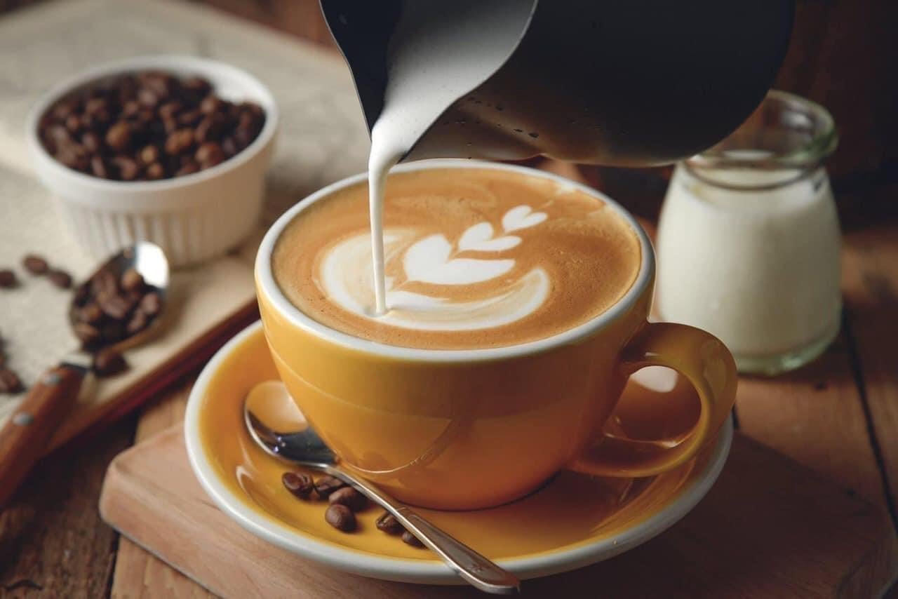 Cacao Starbuck nội địa Pháp