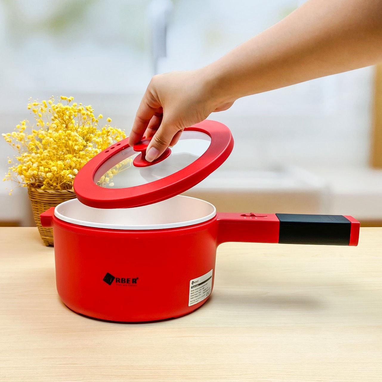 Nồi điện mini đa năng của Aber (GDV)