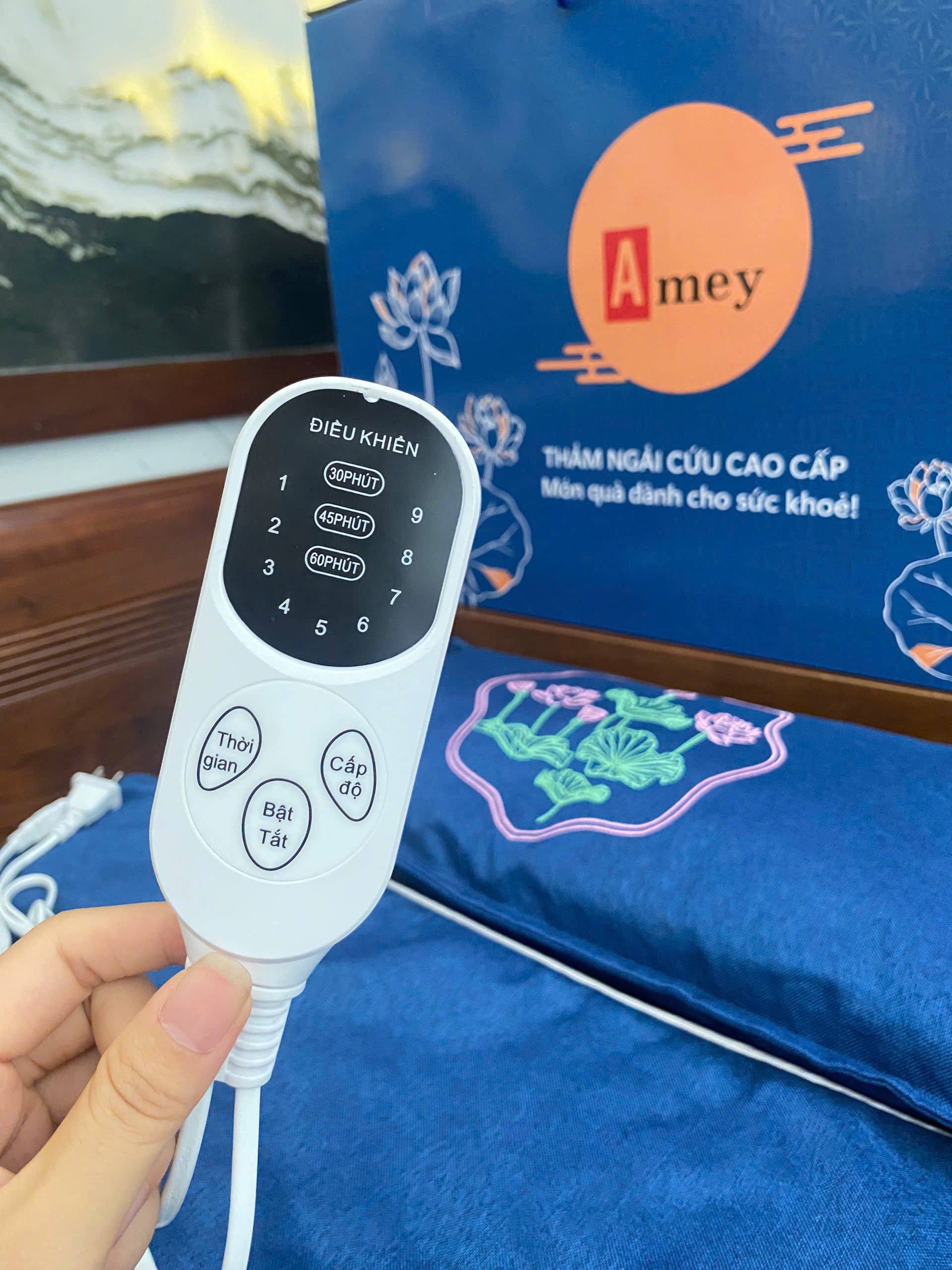Thảm và gối Ngải Cứu Điện Thảo Dược đông y Trung Quốc