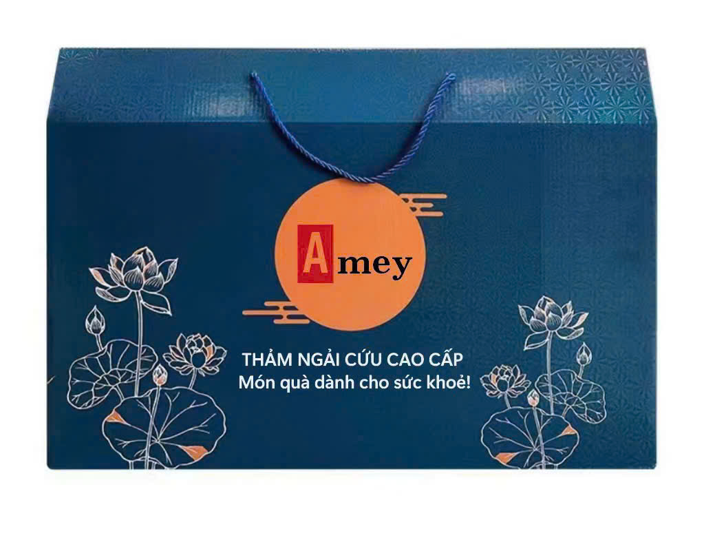 Thảm và gối Ngải Cứu Điện Thảo Dược đông y Trung Quốc