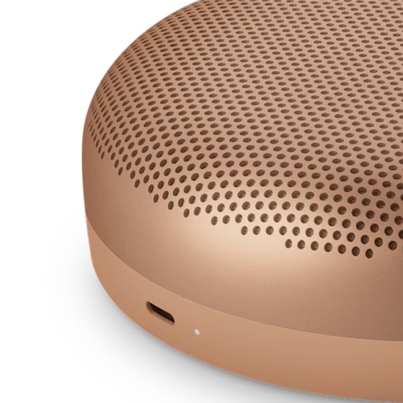 Loa Bang & Olufsen Beosound A1 Gen3