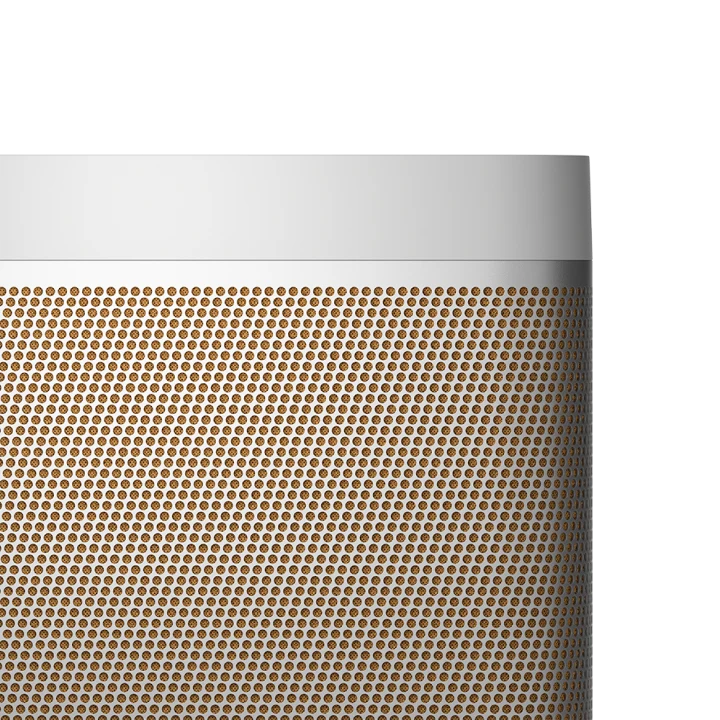 Loa Bang&Olufsen Beolit 20 - Chính Hãng