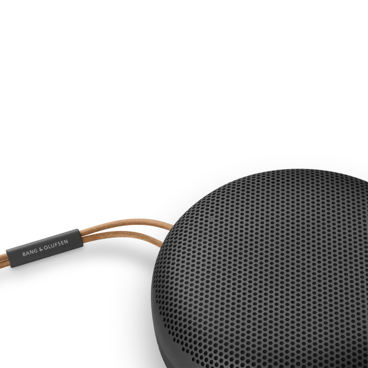 Loa Bang & Olufsen Beosound A1 Gen2
