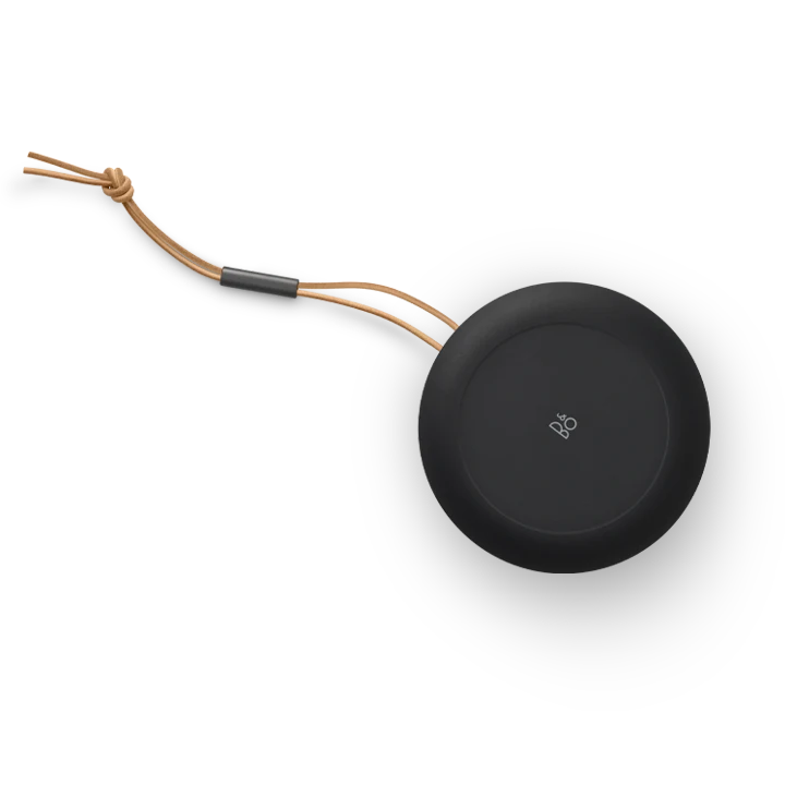 Loa Bang & Olufsen Beosound A1 Gen2