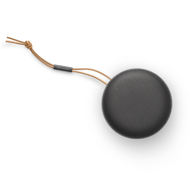 Loa Bang & Olufsen Beosound A1 Gen2