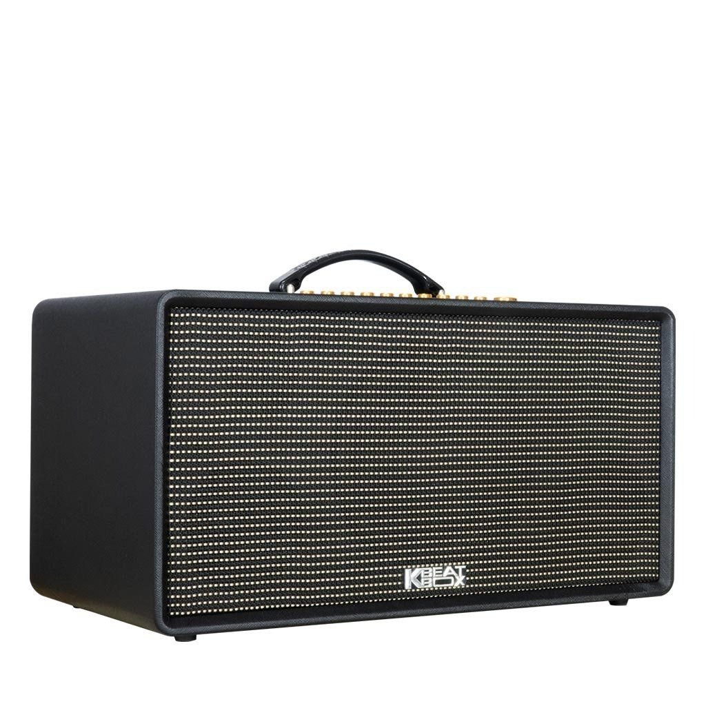 Loa Karaoke Di Động ACNOS Flac36 - 2Micro