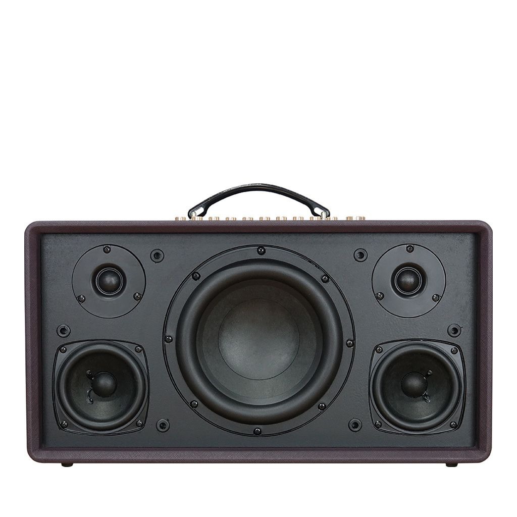 Loa Karaoke Di Động ACNOS Flac36 - 2Micro