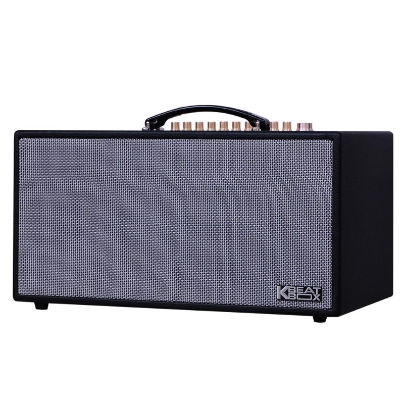 Loa Karaoke ACNOS CS450SRV - 2Micro
