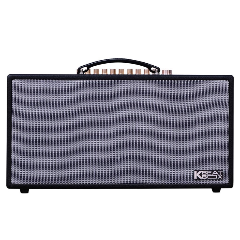 Loa Karaoke ACNOS CS450SRV - 2Micro