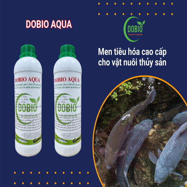 DOBIO AQUA - Giải pháp tối ưu cho thủy sản phát triển khỏe mạnh, năng suất cao