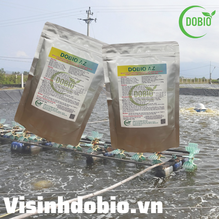 3 Lý do thuyết phục để bạn mua men vi sinh Dobio AZ xử lý đáy ao ngay