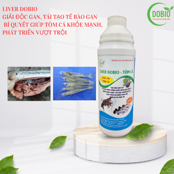 LIVER DOBIO - Bí quyết giúp tôm cá khỏe mạnh, phát triển vượt trội