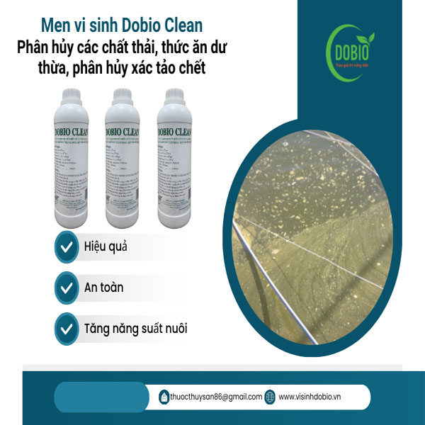 Men vi sinh Dobio Clean - Giải pháp xử lý nhớt đáy ao nuôi tôm cá hiệu quả, an toàn và tiết kiệm