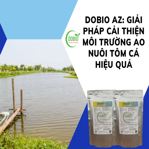 Chế phẩm men vi sinh DOBIO AZ: Giải pháp cải thiện môi trường ao nuôi tôm cá hiệu quả