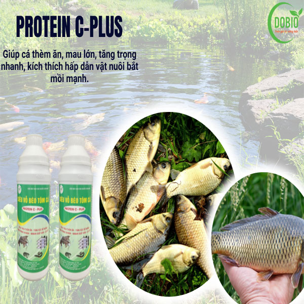 Protein C-Plus: Bí quyết nuôi tôm, cá, ốc, baba, lươn, chạch, ếch và các đối tượng thủy sản thành công