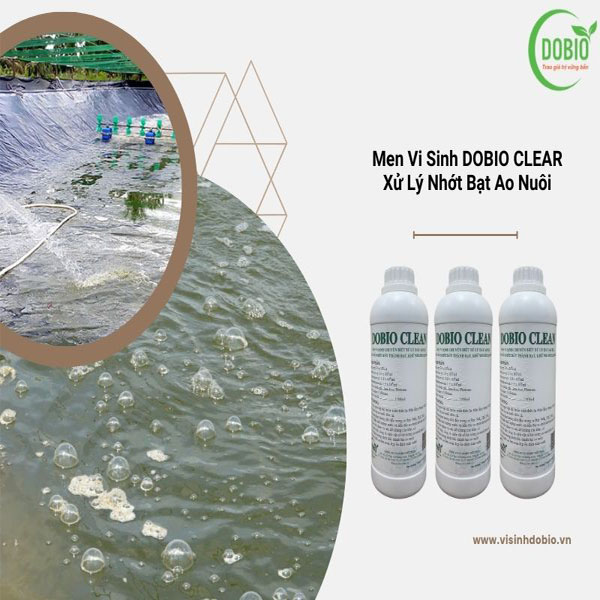 Dobio Clean: Bí quyết đánh bay nhớt đáy bạt, giúp tôm cá 