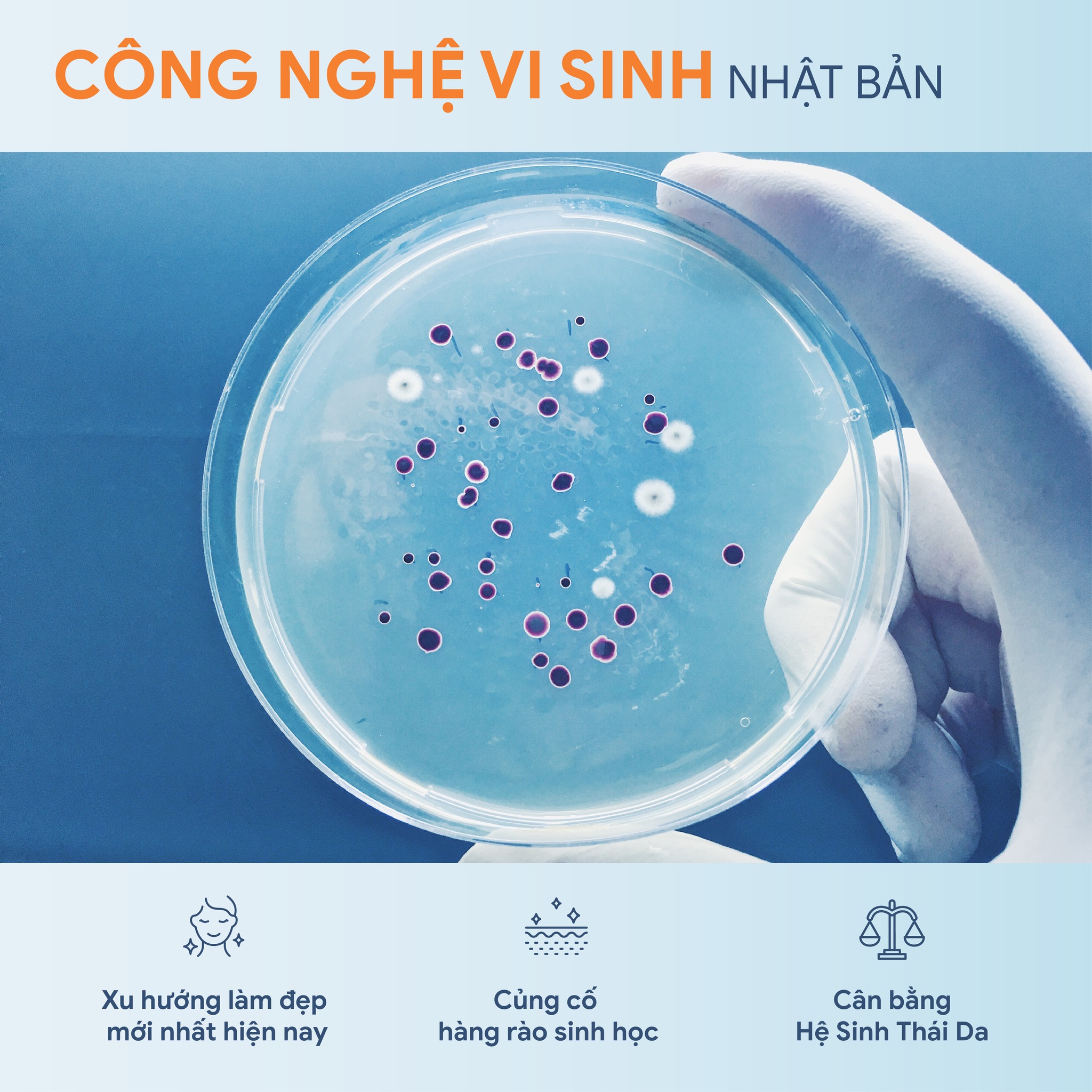 BỘ TÁI SINH TOÀN DIỆN 2.0
