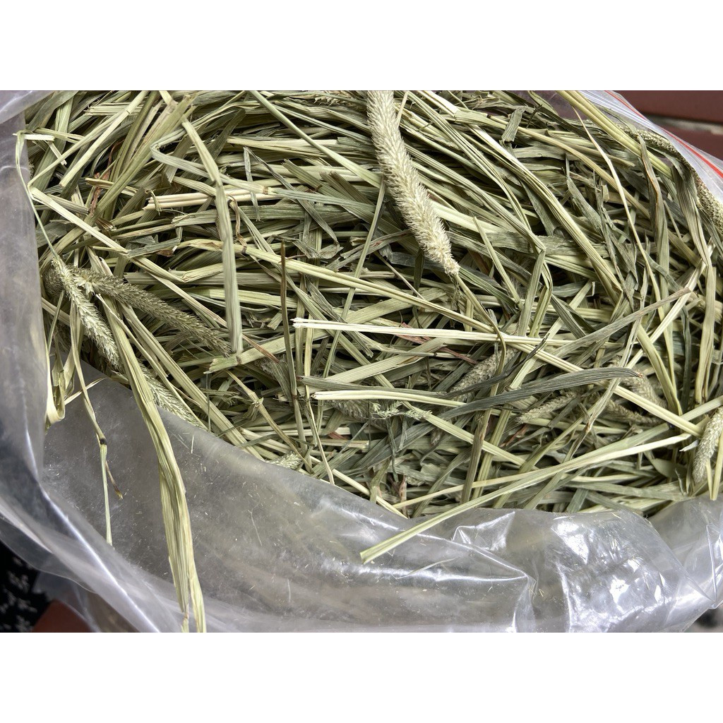 Cỏ Khô Nén Timothy 500g.