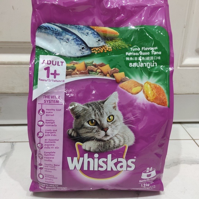 Thức Ăn Hạt  Cao Cấp Whiskas 1.2 Kg (dành cho mèo con )