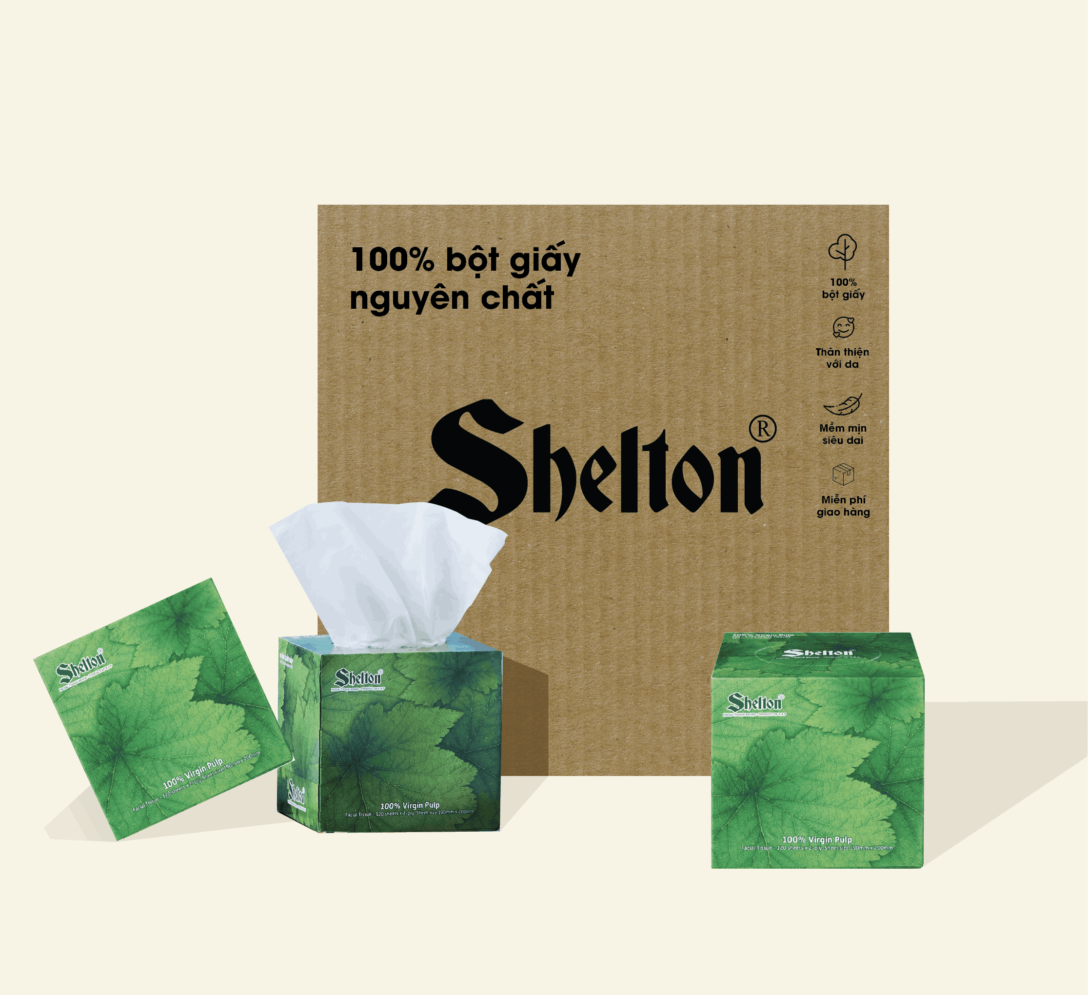 Khăn hộp vuông Shelton Lá xanh 120 tờ x 2 lớp