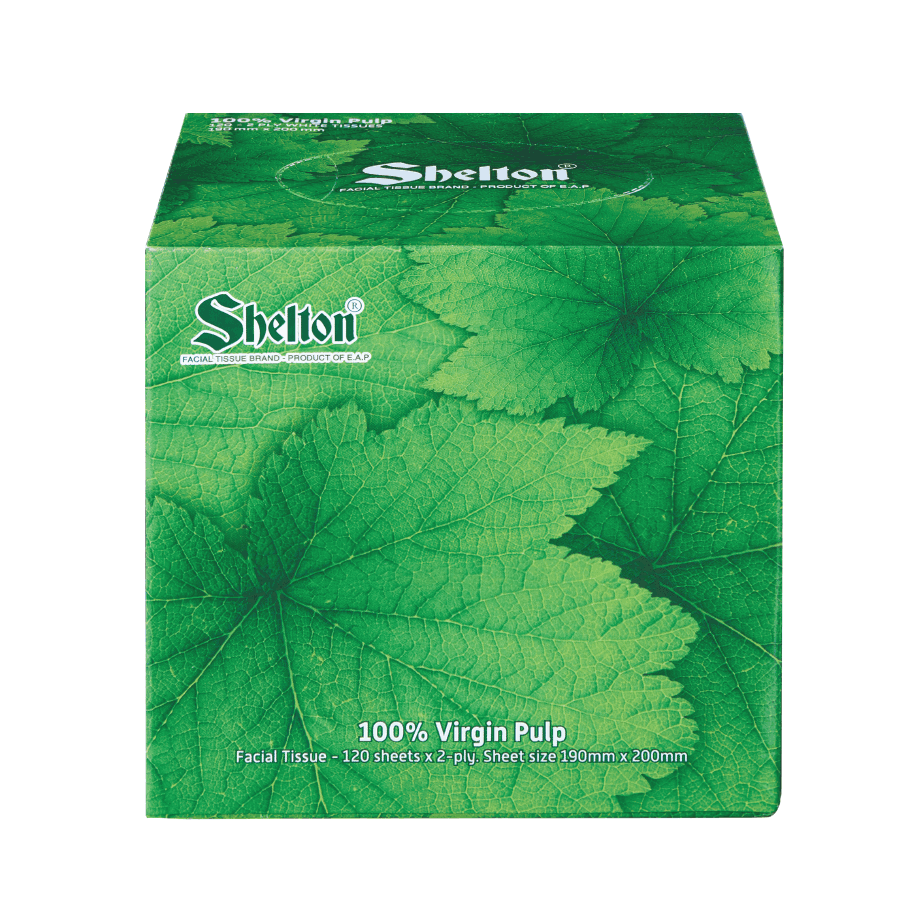 Khăn hộp vuông Shelton Lá xanh 120 tờ x 2 lớp