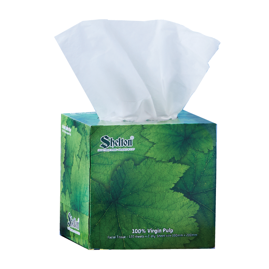 Khăn hộp vuông Shelton Lá xanh 120 tờ x 2 lớp