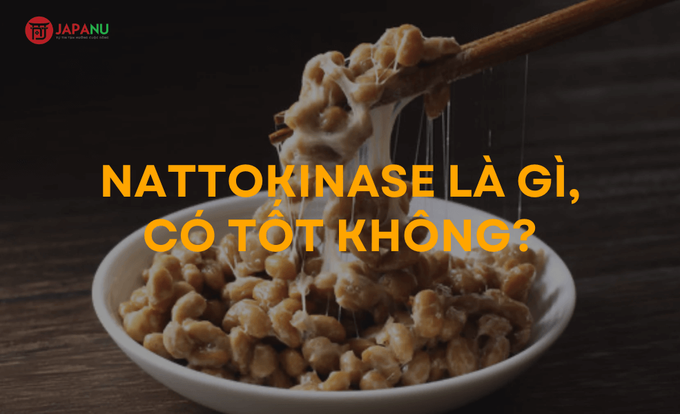 Nattokinase loại nào tốt? Review Nattokinase Premium 10.000FU/g và Nattokinase Premium Nichiei Bussan 60.000FU/g