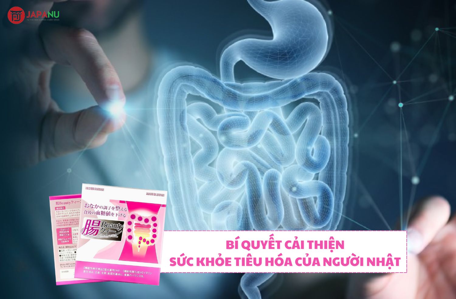 Men lợi khuẩn Inulin - Bí quyết cải thiện sức khỏe tiêu hóa của người Nhật