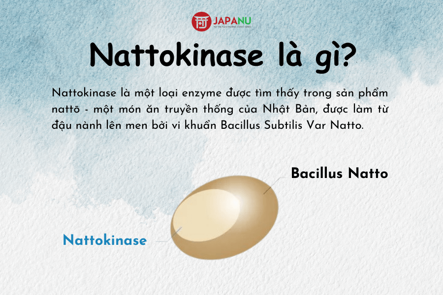 Nattokinase là gì? Công dụng và cơ chế hoạt động ra sao?