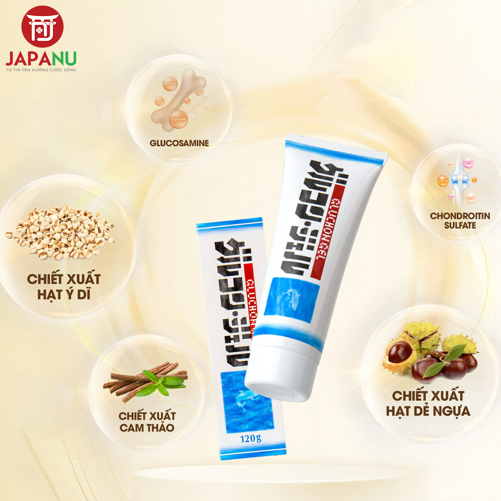 Thành Phần Nổi Bật Gel Bôi Giảm Đau Nhức Xương Khớp Và Suy Giảm Tĩnh Mạch Gluchon