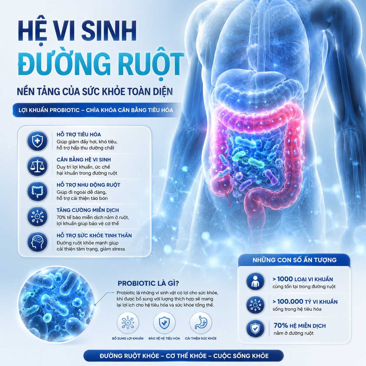 Hệ vi sinh đường ruột đóng vai trò quan trọng đối với sức khỏe tiêu hóa