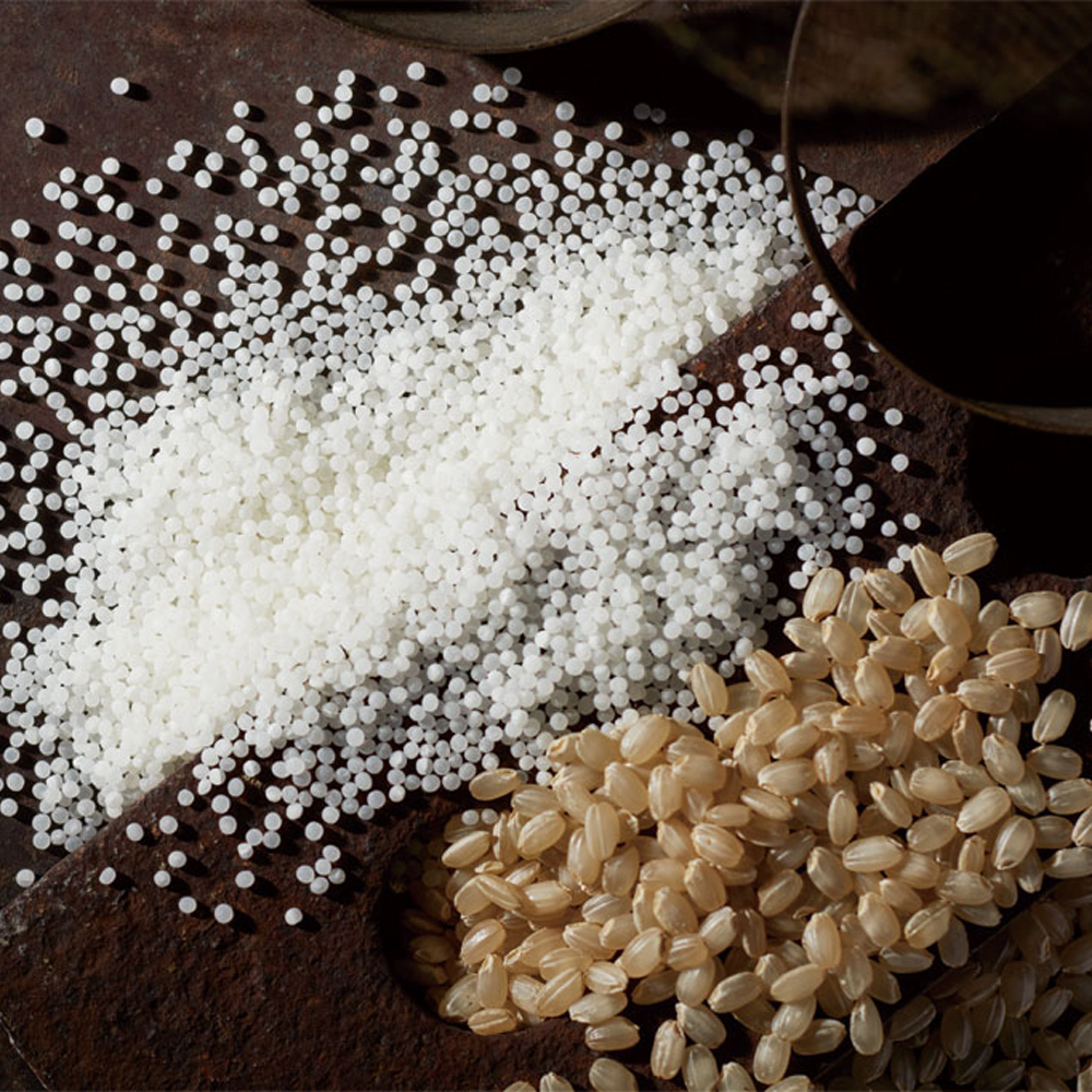 Gạo Yamada Nishiki sản xuất rượu sake Dassai