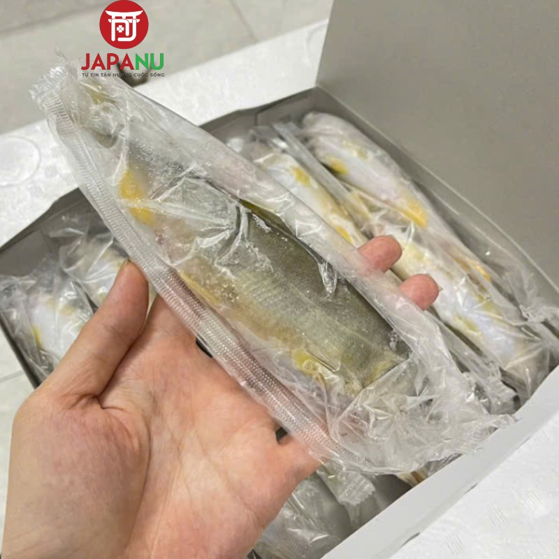 Cá Ayu Nhật Bản - 1Kg (Có trứng & Không trứng)