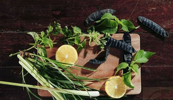 Bồ kết nhiều công dụng độc đáo