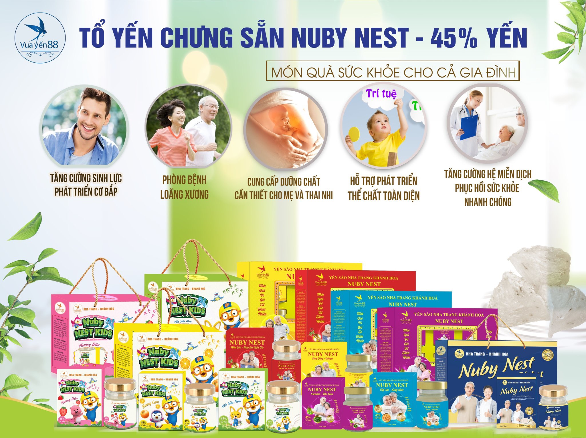 Yến sào Khánh hoà nuby nest