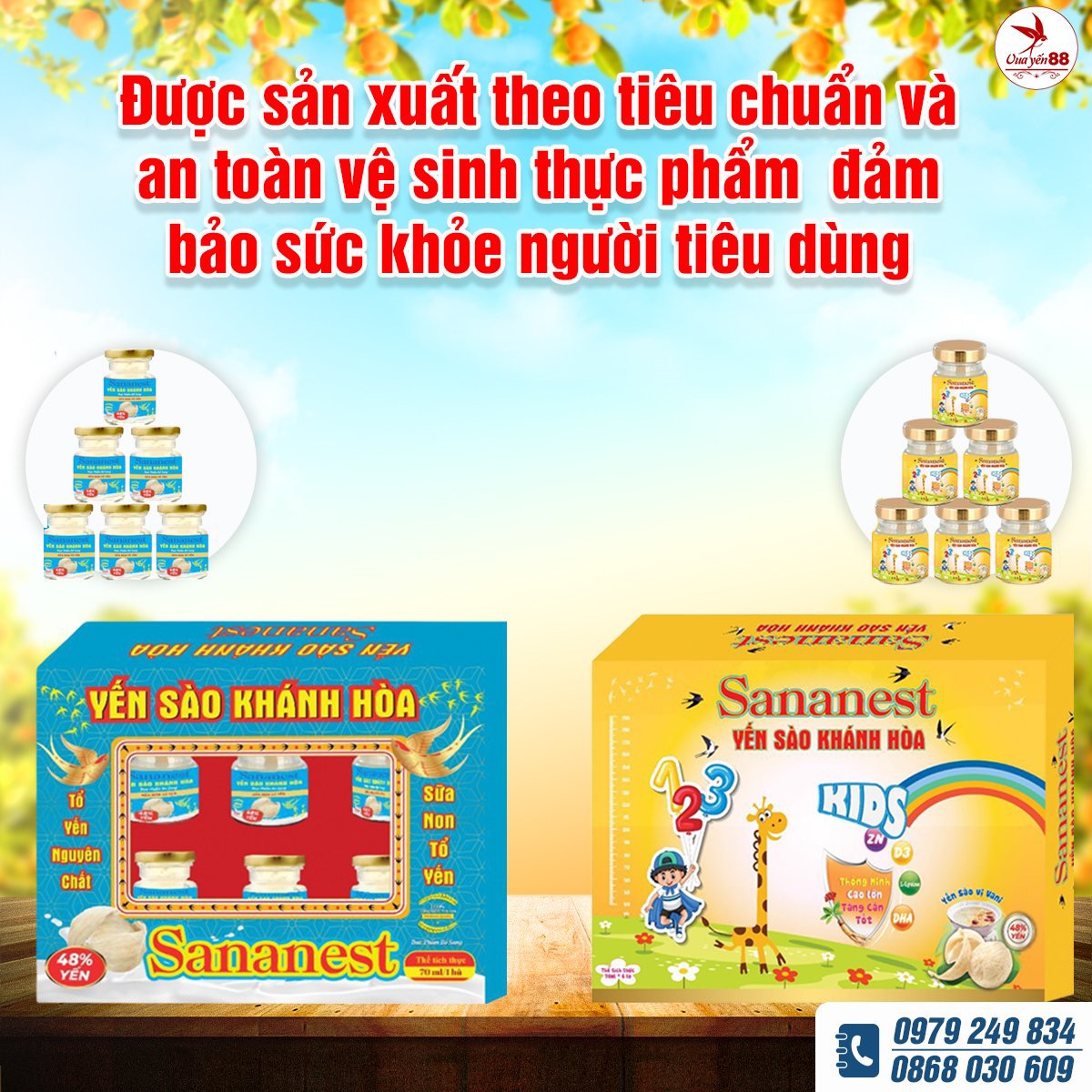 YẾN SÀO KHÁNH HÒA SANANEST - GIÁ TRỊ CHO SỨC KHỎE