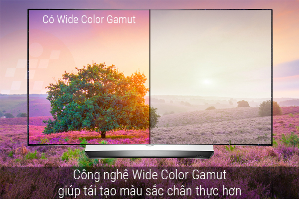Google Tivi TCL 55P745 4K 55 inch [2025]