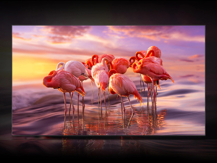 QLED Tivi 4K Samsung 65 inch QA65Q80BAKXXV Smart Tivi Model Mới 2022