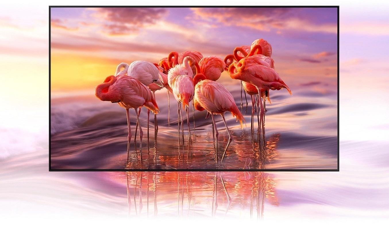 Smart Tivi LED LG 4K 70 inch 70UQ9100PSD