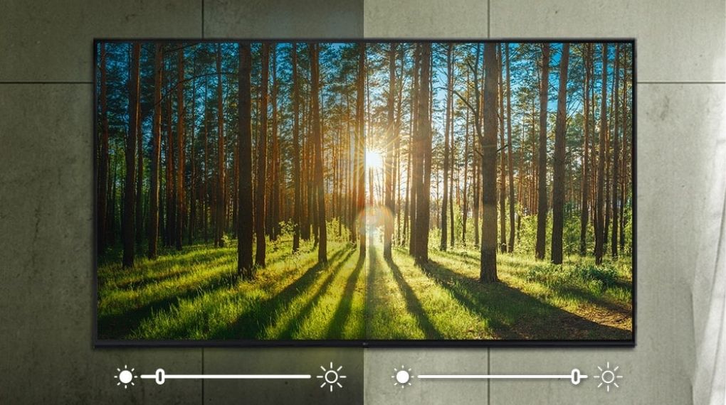 Smart TV LG 65QNED81TSA 4K 65 inch Mới 2024