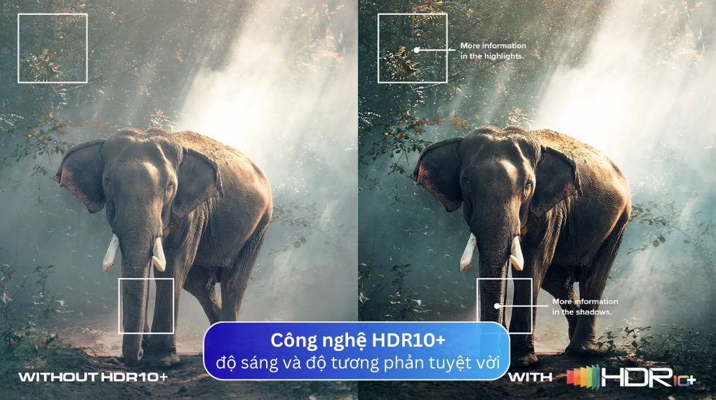 Google Tivi TCL 65P745 4K 65 inch [2025]