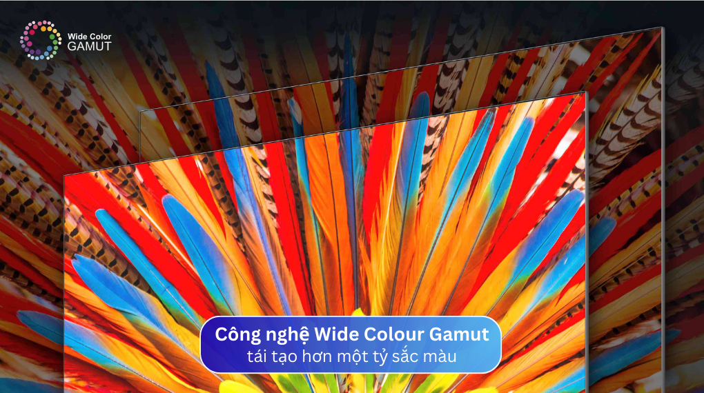 Google Tivi TCL 65P745 4K 65 inch [2025]